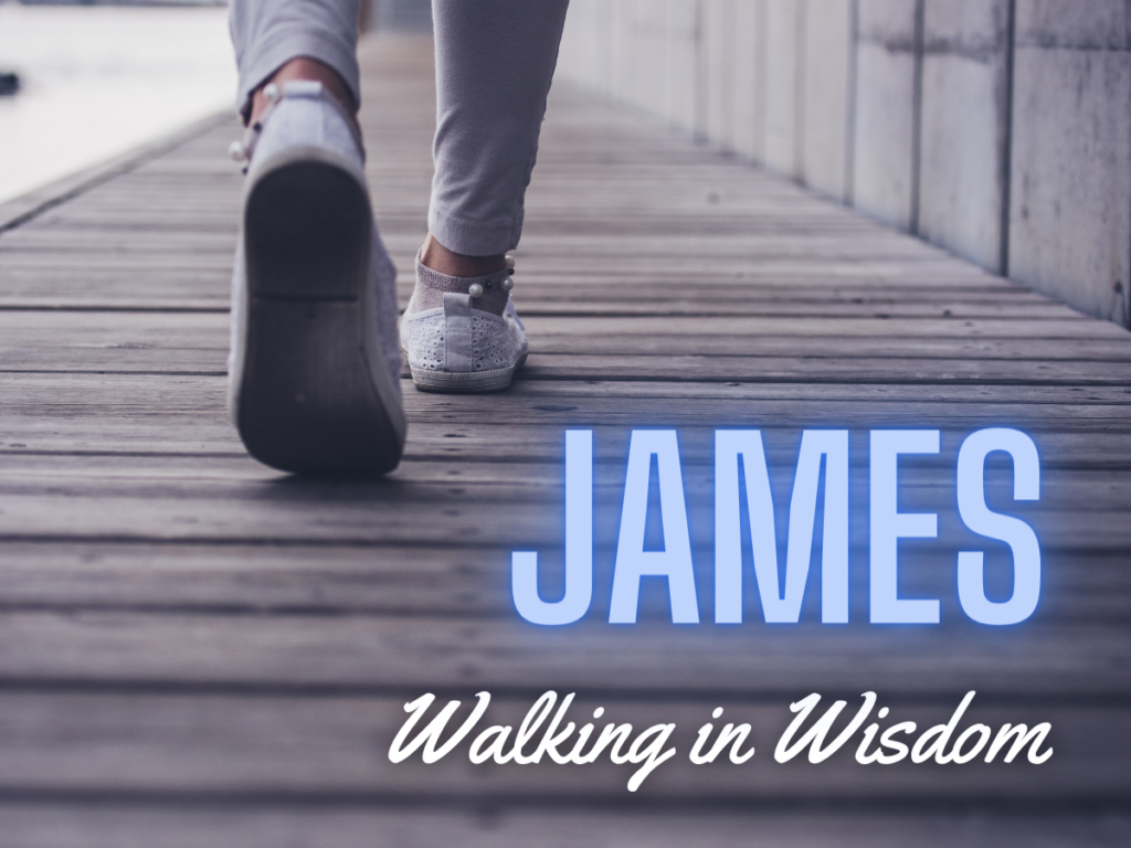 Walking in Wisdom - Book of James Sermon Series